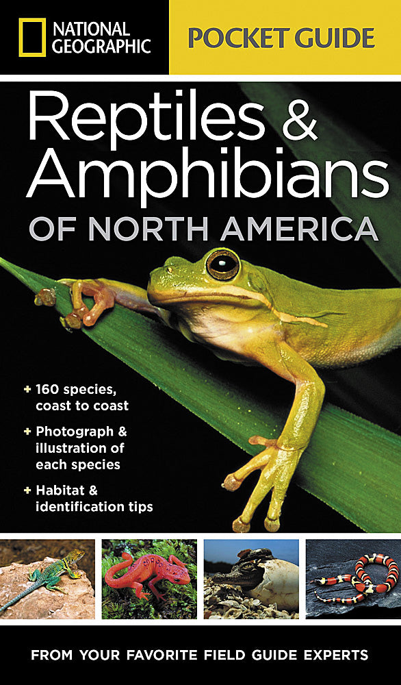Pocket Guide to Reptiles and Amphibians of North America