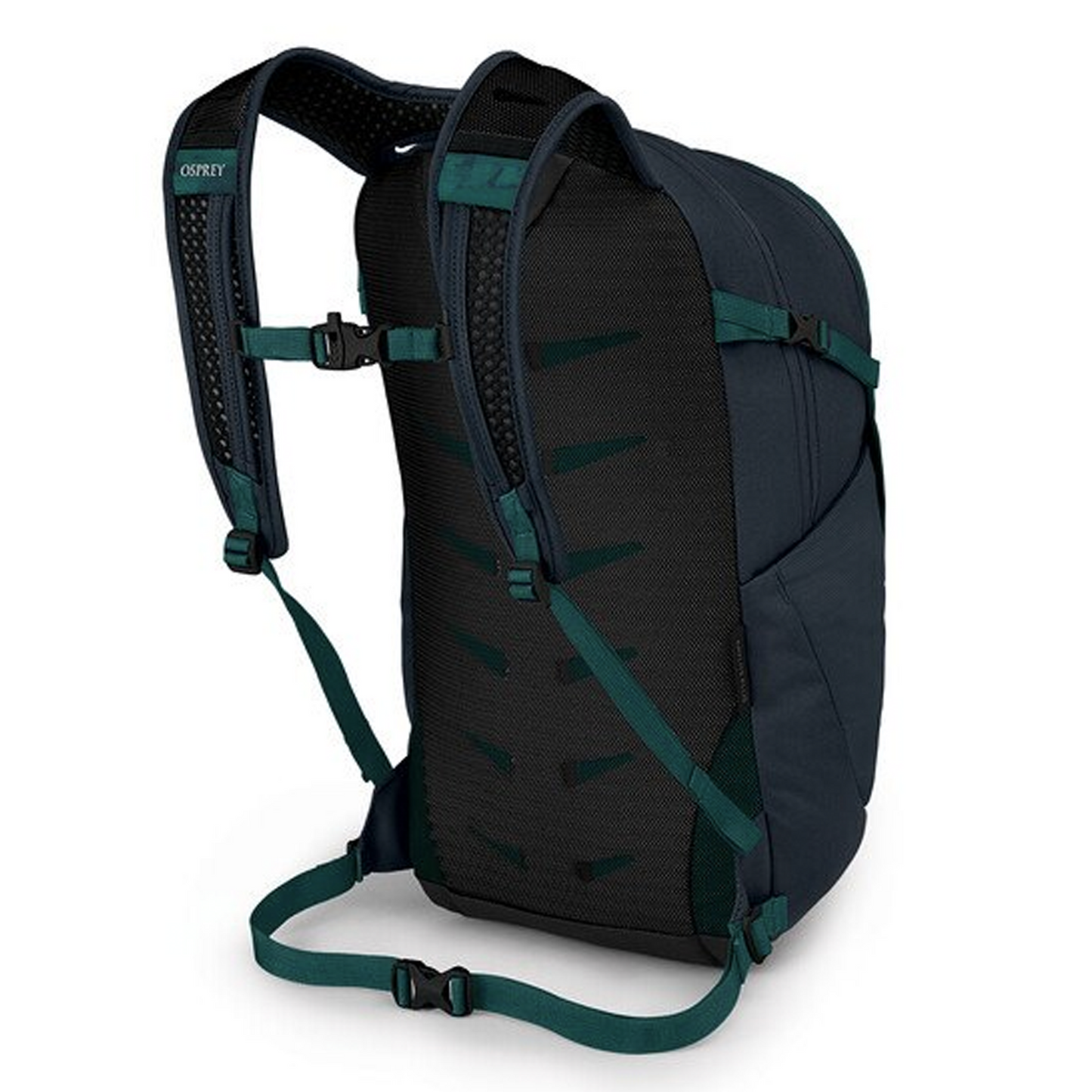 Daylite Plus Big Adventure Outfitters