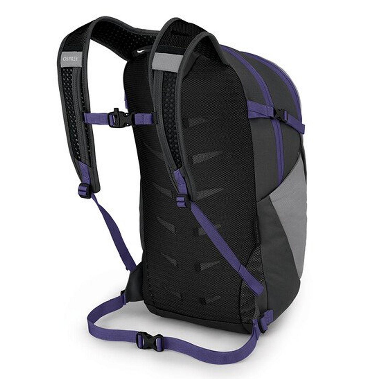 Daylite Plus Big Adventure Outfitters