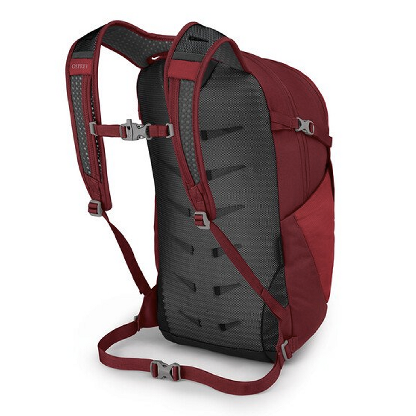 Daylite Plus Big Adventure Outfitters
