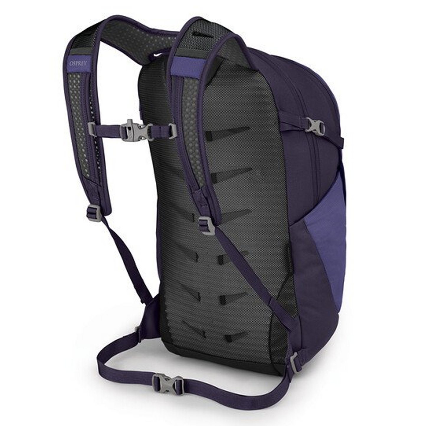 Daylite Plus Big Adventure Outfitters