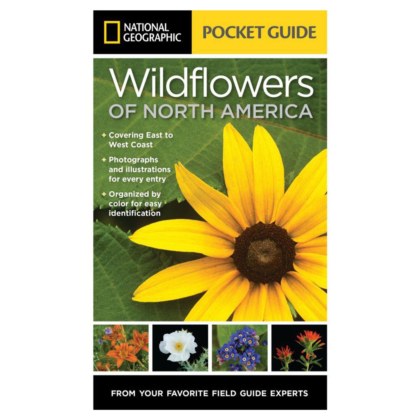 Pocket Guide to Wildflowers of North America