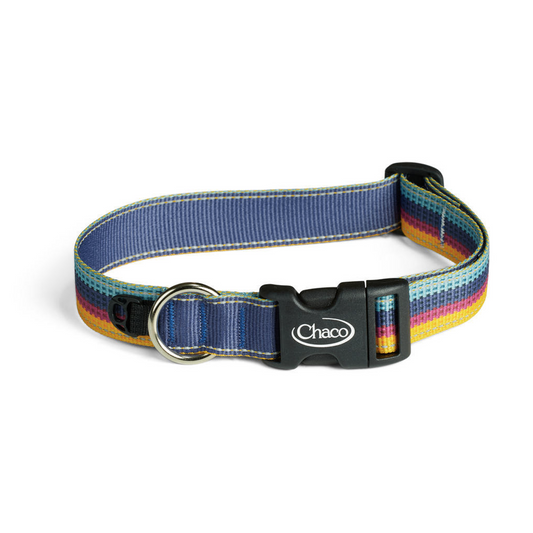 Collars Big Adventure Outfitters