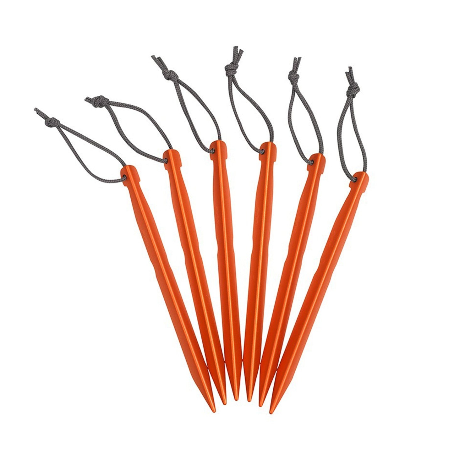 J Stake - 6 Pack Big Adventure Outfitters