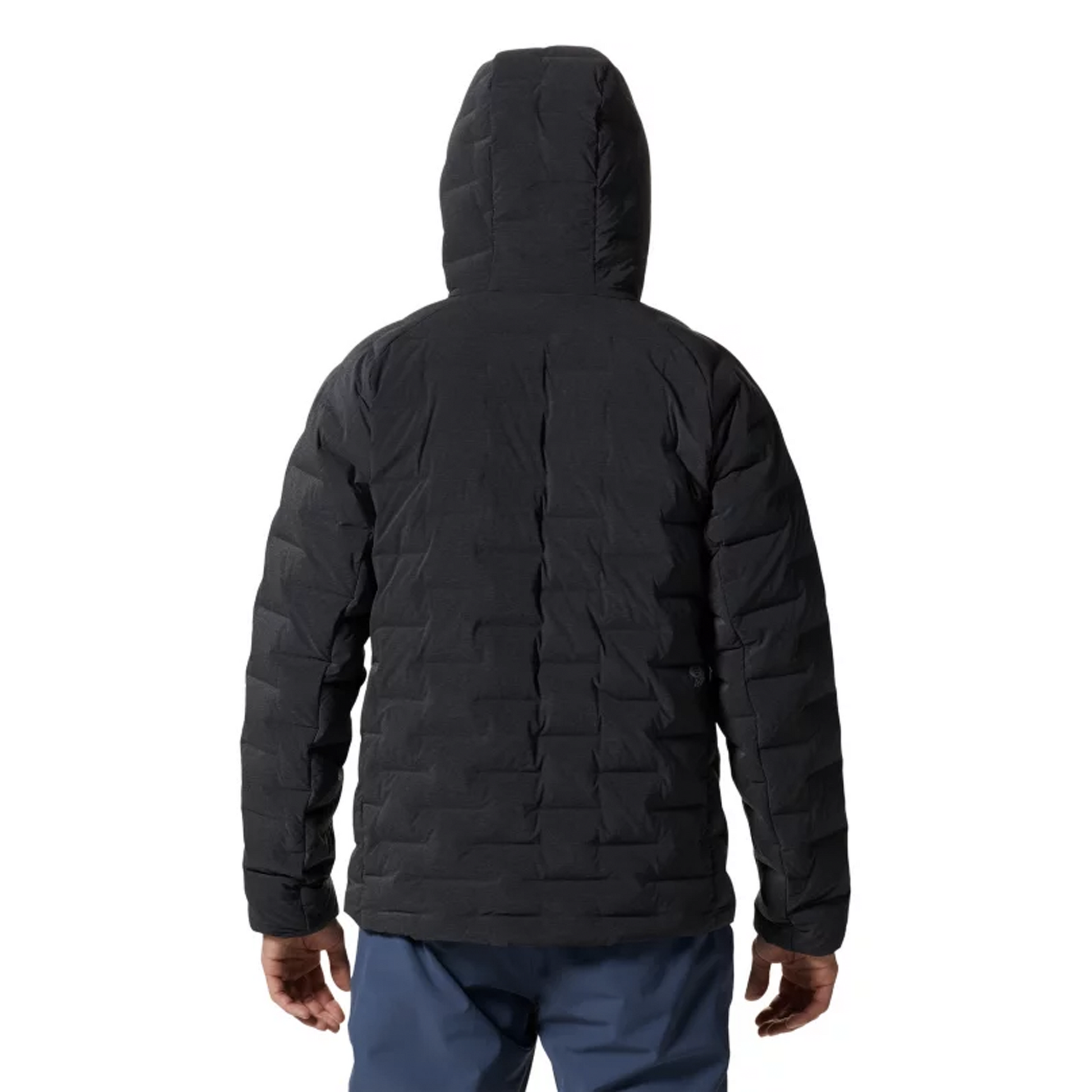 Men's Stretchdown™ Hoody Big Adventure Outfitters